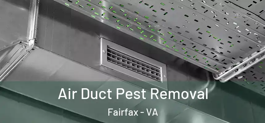 Air Duct Pest Removal Fairfax - VA