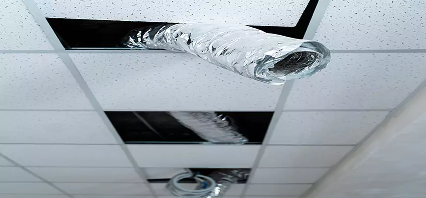 Affordable HVAC Sanitizing After Pest Removal in Fairfax