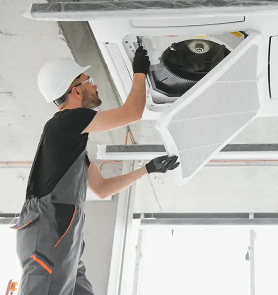 About Air Duct Rodent Removal in Fairfax, VA