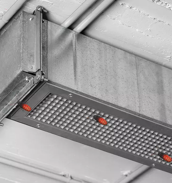 Affordable Insect Removal from Air Ducts in Fairfax, VA