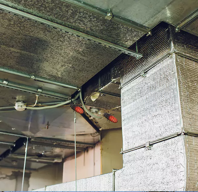 Why Homeowners & Businesses Trust Us in Fairfax, VA?